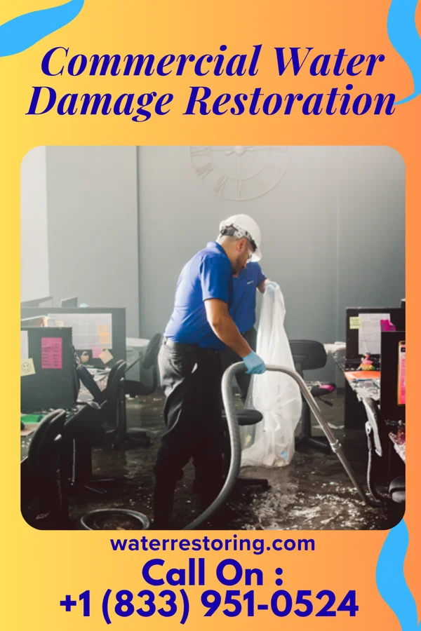Commercial Water Damage Restoration in Robbins, IL