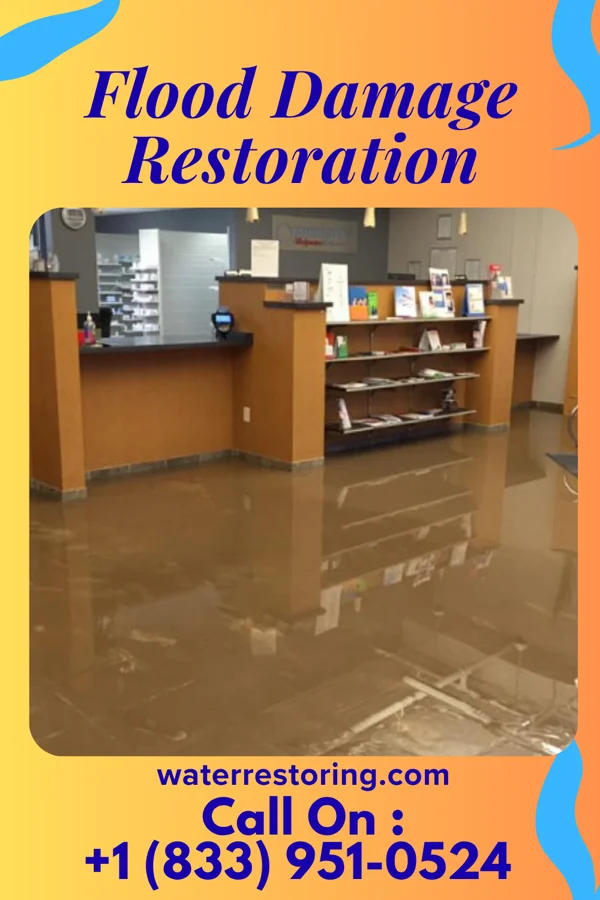 Flood Damage Restoration in Robbins, IL