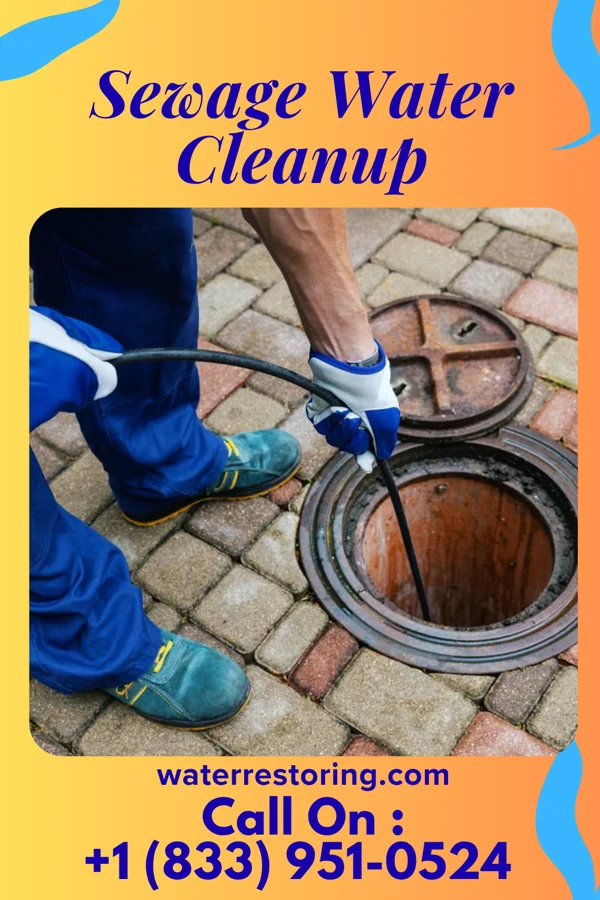 Sewage Water Cleanup in Robbins, IL